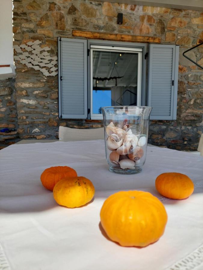 Villa Johell Neos Marmaras Esterno foto
