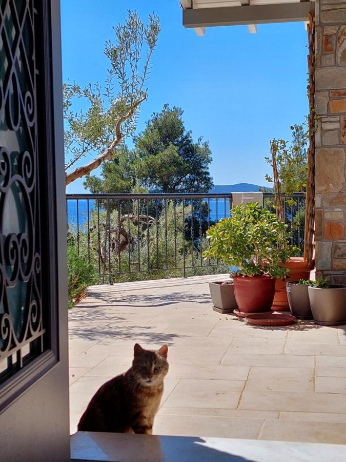 Villa Johell Neos Marmaras Esterno foto